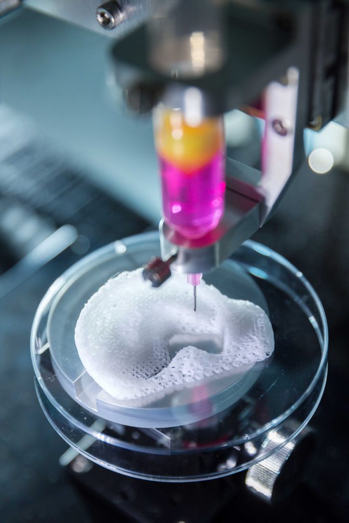 3D 프린터로 귀 모형을 만들고 바이오 잉크로 세포 등을 주입하는 모습 | 사진: 안홍범