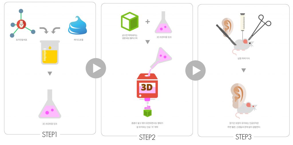 3D 바이오 프린팅 기술로 인공장기를 만드는 과정 설명 | 그래픽: 김형윤편집회사