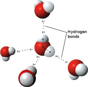 물 분자의 구조 | 출처: 위키백과
