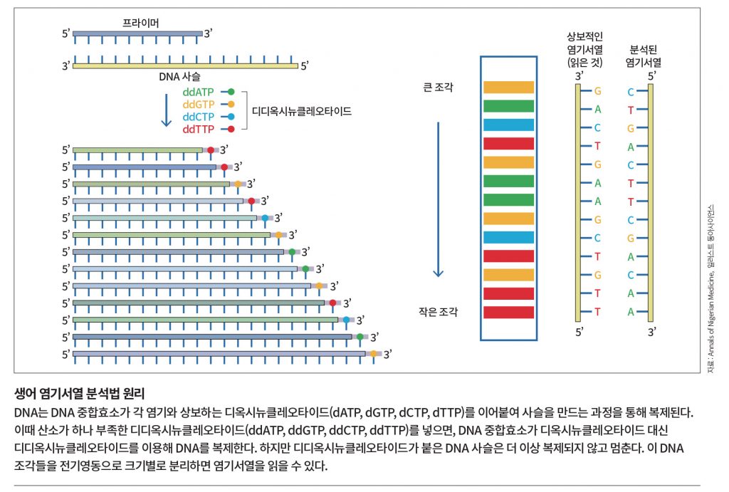 142-145 언니오빠 논문연구소.indd