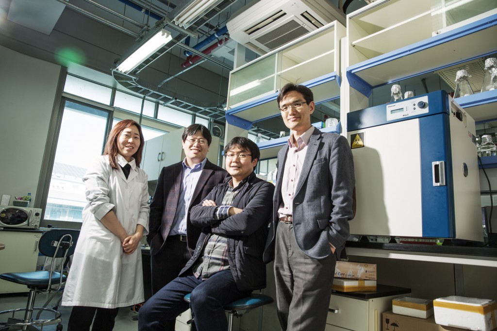 From right are, Prof. Byoung Heon Kang (School of Life Sciences), Prof. Changwook Lee (School of Life Sciences), Prof. Ja Hyoung Ryu (School of Natural Science), and the researcher Hye Kyung Park (School of Life Sciences).