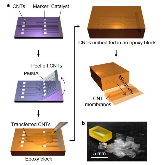 Figure 1. Experimental method for the fabrication of CNT membranes.