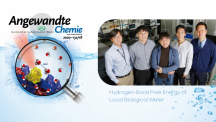 New Study Presents Hydrogen-Bond Free Energy of Local Biological Water