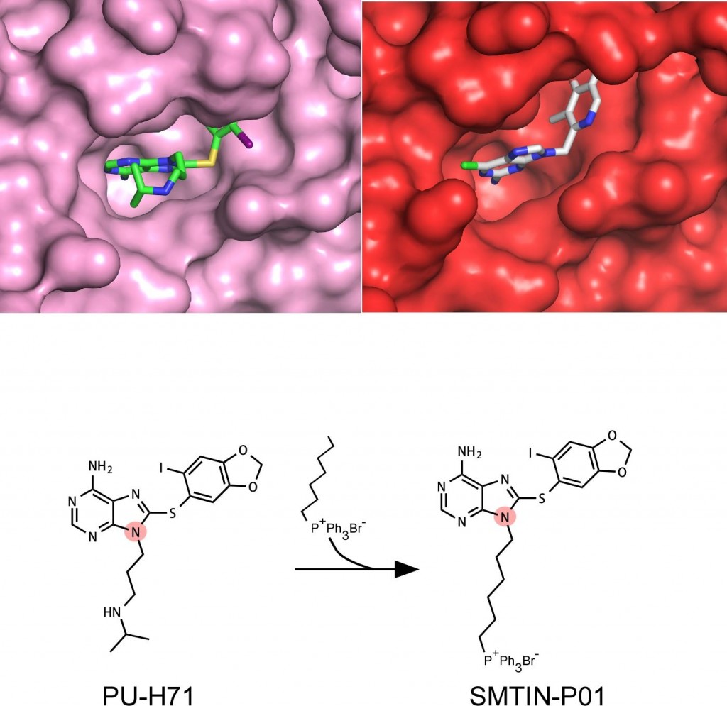 강병헌, 이창욱, 유자형 교수팀은 3차원 단백질 구조 분석으로 스마트 약물 SMTIN-P01을 제작했다. 
