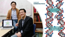김하진 교수(좌)와 유제중 일리노이대 어바나 샴페인 캠퍼스 박사 후 연구원(우)의 모습이다. 왼쪽은 두 개의 DNA 이중나선 사이에서 정전기적 힘이 작용해서 밀고 당기는 모습을 나타낸다. | 사진: 김경채, 디자인: 이덕기