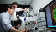 민경태 생명과학부 교수와 웨이 왕(Wei Wang) 박사 후 연구원이 공초점현미경으로 뇌 신경세포의 축삭돌기를 관찰하고 있다. | 사진: 김경채