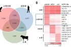 식성별-포유동물-게놈-비교2.jpg