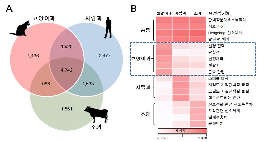 식성별 포유동물 게놈 비교2