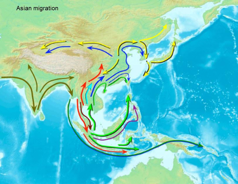  2009년 사이언스(Science)지에 밝혀진 아시아인의 주요 이동경로. 한국인은 남방계가 올라온 거대한 흐름에 속해있다. 