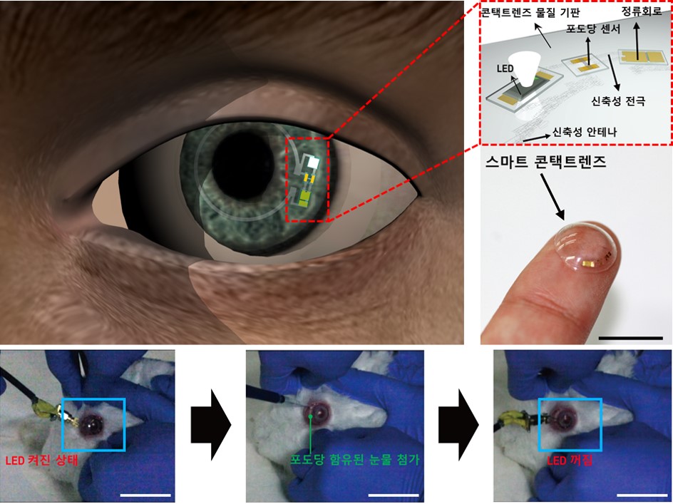 스마트 콘택트렌즈의 구조와 토끼눈에 장착시킨 모습