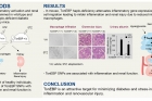 연구그림-톤이비피-유전자가-신장을-손상시키는-과정-연구.jpg