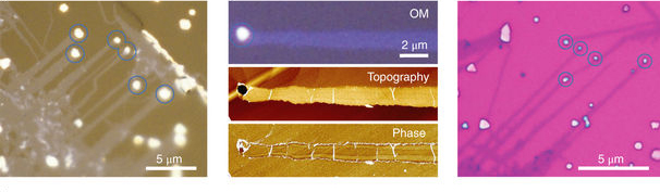 왼쪽은 염화나트륨 결정에서 성장한 이황화몰리브덴 나노 리본의 광학 이미지이고, 가운데는 광학현미경과 원자힘현미경(AFM)으로 형성된 나로 리본의 위상을 보여주는 장면이다. 오른쪽은 산화실리콘 기판 위에 전사된 나노 리본 이미지다. 동그란 부분은 나노 리본에 붙어 있는 마지막 입자를 표시한 것이다.