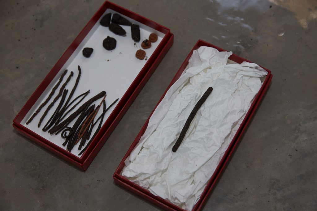 임승균 작가가 슬러지를 이용해 제작한 향 | 사진: 김석민