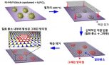 [연구그림] 육방정계 질화붕소 단일층 내부에 그래핀 양자점이 형성된 2차원 평면 복합체 제조 과정