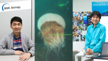 노무라입깃해파리(가운데)의 게놈지도를 완성한 UNIST 연구진. 왼쪽은 1저자인 김학민 연구원, 오른쪽은 교신저자인 박종화 교수다. | 사진: 김학민, 한국해양과학기술원, 남윤중