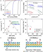 [연구그림] 빈자리 결함(vacancy)가 도입된 MoSe2의 수소 발생 반응 촉매 활성도 분석