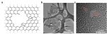 [연구그림]그래피틱 탄소 나노시트의 분자 모식도 및 현미경 관찰 사진