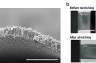 연구그림실리콘-마이크로와이어-복합체의-주사전자현미경-이미지-2.jpg