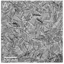 [연구그림] 합성된 나노막대의 전자현미경 이미지