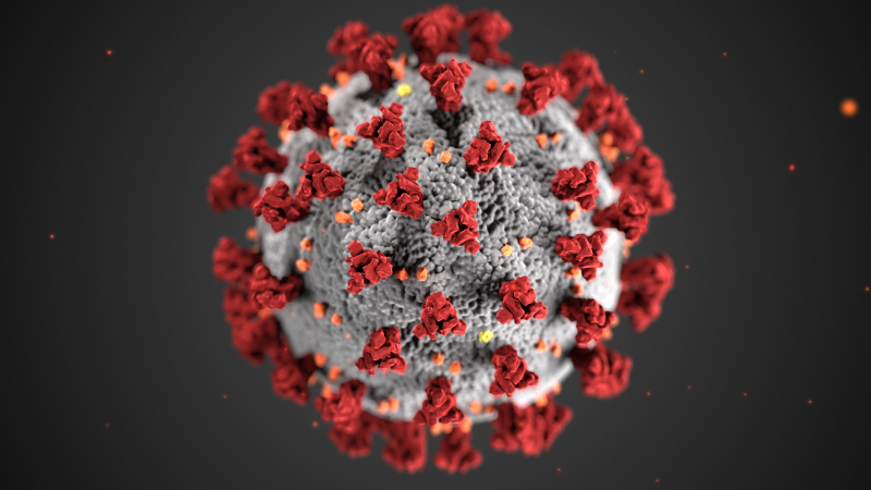 미국 질병통제예방센터(CDC)에서 신종 코로나바이러스의 구조를 실제와 비슷하게 구현한 3D 이미지. 출처: CDC