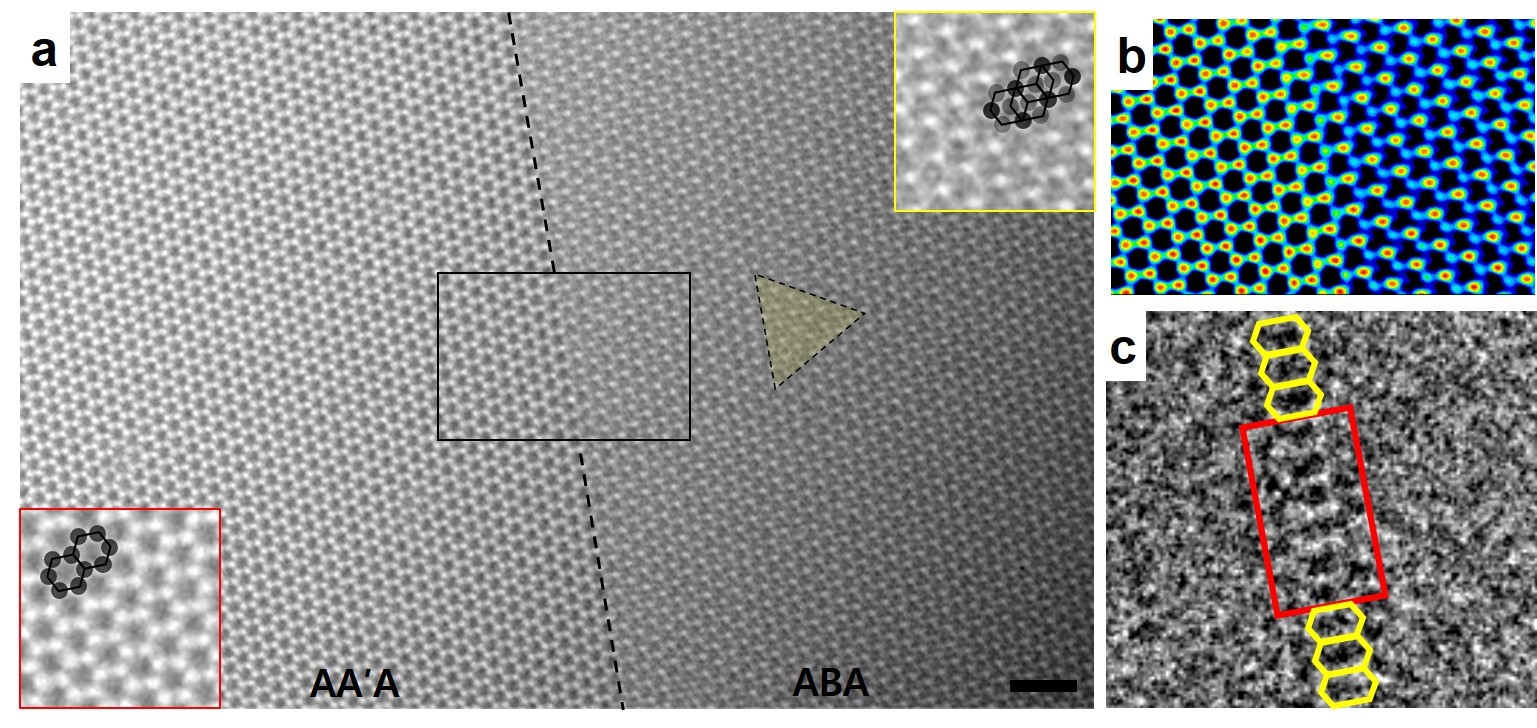  [그림3] AA'AB 적층 경계면에 형성된 채널을 투과전자현미경으로 관찰한 원자구조 모습