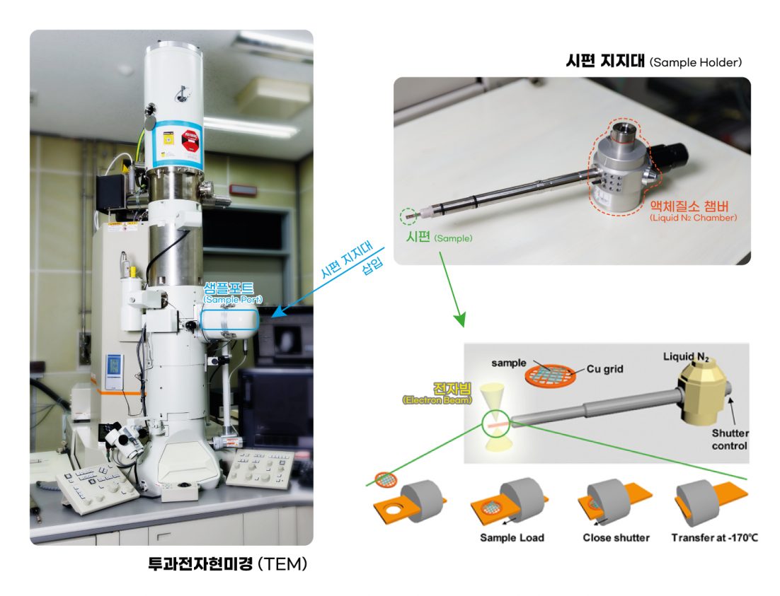 [연구그림] 실험에 사용된 전자 현며경 및 시편준비 방법