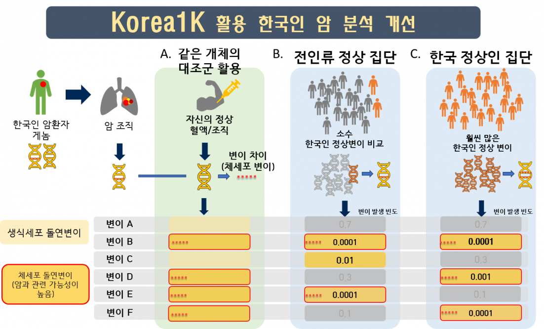 [연구그림] 한국인 1천명 게놈정보를 이용한 암 분석 개선