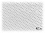 [연구그림] 나노 모자이크 코팅된 기판 표면의 전자현미경 사진.