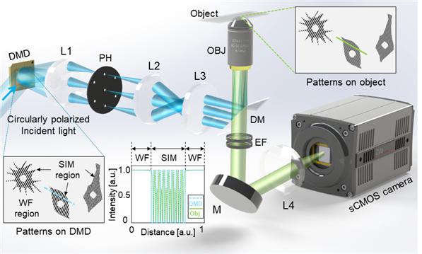 [연구그림] Tunable SIM 현미경의 작동 모식도