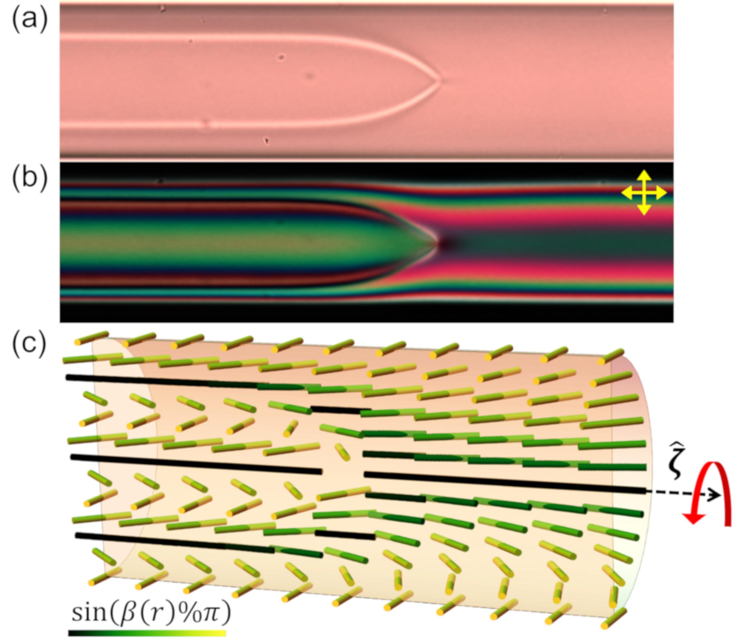 모세관에 갇혀있는 카이랄 크로모닉 액정의 구조를 편광 현미경을 이용하여 관찰함. 밝은색 선이 모인 지점이 위상학적 결함이다. 