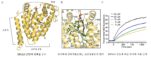 [연구그림] MIGA2 단백질의 LTD 부위의 3차원 생김새 분석