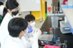 '2022-UNIST-기초과학캠프'-중-화학실험-장면-(3)