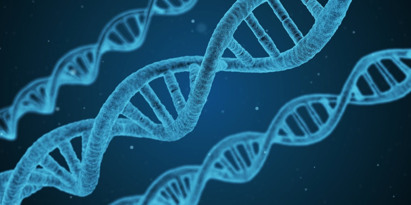 [박종화가 들려주는 게놈이야기 (4)] 생명현상은 정보 프로그래밍