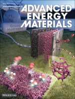 [연구그림] Advanced Energy Materials 표지 논문 선정