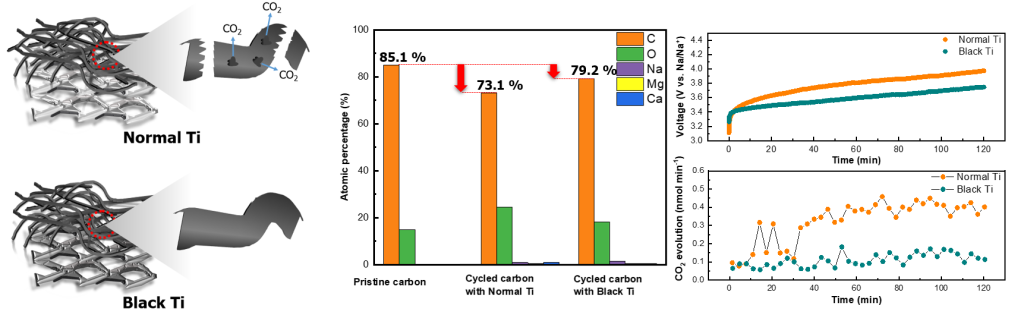 그림3. 기존의 티타늄 (Normal Ti)을 쓴 경우와 TiC를 코팅한 티타늄 (Black Ti)를 쓴 경우 탄소집전체 열화 비교