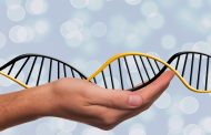 [박종화의 게놈이야기 (10)] DNA 3차원 구조 연구와 아론 클룩