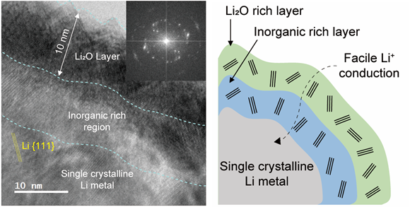 그림2. 리튬비스(플루오르설포닐)이미드 염을 함유한 에테르 기반 고농도 전해질이 리튬 금속 음극 소재 표면에 형성하는 SEI 층의 고배율 극저온 투과전자현미경 이미지와 모식도