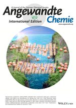 Angewandte Chemie International Edition 표지 논문(Back cover) 선정