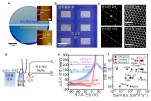 [연구그림] 대면적 몰리브덴 텔루륨화 화합물반도체(MoTe2)의 합성 및 3차원 금속2차원 반금속 전극을 통한 고성능 p형 트랜지스터 소자 구현