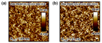 [연구그림2] p-형 공중합체 반도체와 비대칭 n-형 반도체 블렌드 필름의 원자힘 현미경 이미지