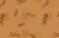[박종화의 게놈 이야기 (14)] 서열이란 무엇인가?