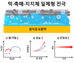 [연구그림1] 본 연구 요약도