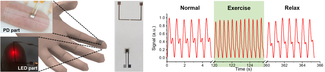 그림3. 웨어러블 유연 맥박 센서의 구현 및 다양한 상황에서 측정된 맥박 신호