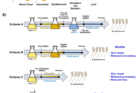 연구그림1-포식성-박테리아인-B.-bacteriovorus-HD100-성장을-단순화하기-위한-대체-배양-방식.png