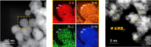 [연구그림1] 개발된 RuSiW 촉매의 투과전자현미경 사진(좌), 원소매핑이미지(중), 텅스텐 도핑된 투과전자현미경사진(우)