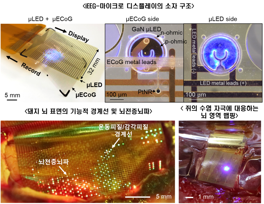 그림2. iEEG-Microdisplay 소자 구조 및 뇌 표면 활동 맵핑