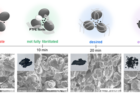 연구그림2-니딩Kneading-시간-별-전극-반죽Eledtrode-dough-모식도와-SEM-사진.png