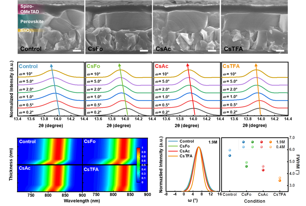 그림2. 양방향 조율 분자 도입을 통한 페로브스카이트 결정성 변화, 잔여 인장 변형, 두께-기반 광발광 분석 그리고 결정 구조 방향성 분석 개략도