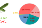 연구그림3-지속가능한-항공유-SAF의-요구성분-1.png