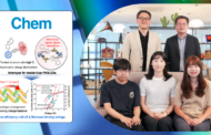 ‘전기 덜 먹는 청색 OLED’ 효율·안정성 모두 잡았다